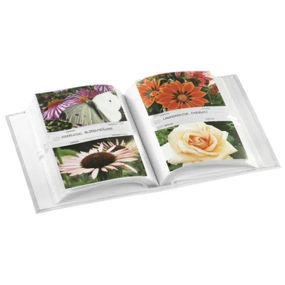 Album BELA